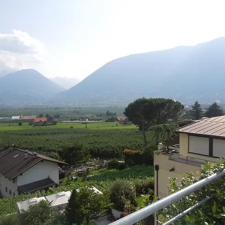 Отель Alexander 4*