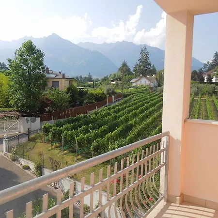 Отель Alexander 4*