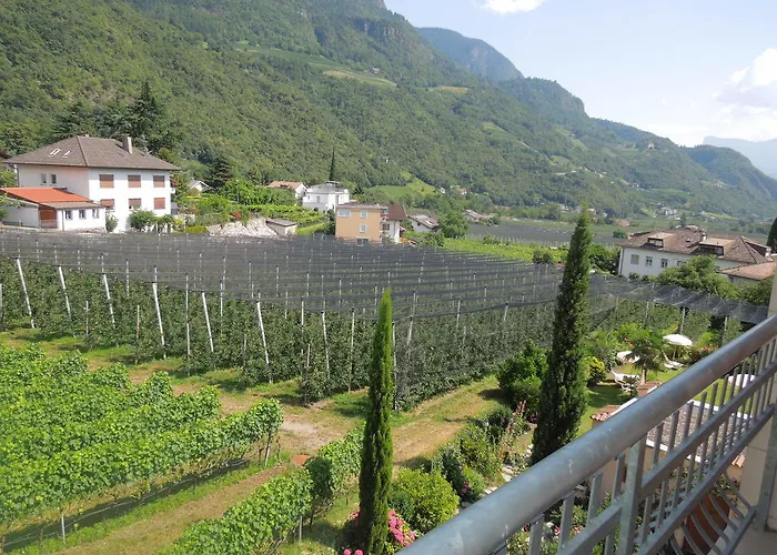 Hotel Alexander Meran